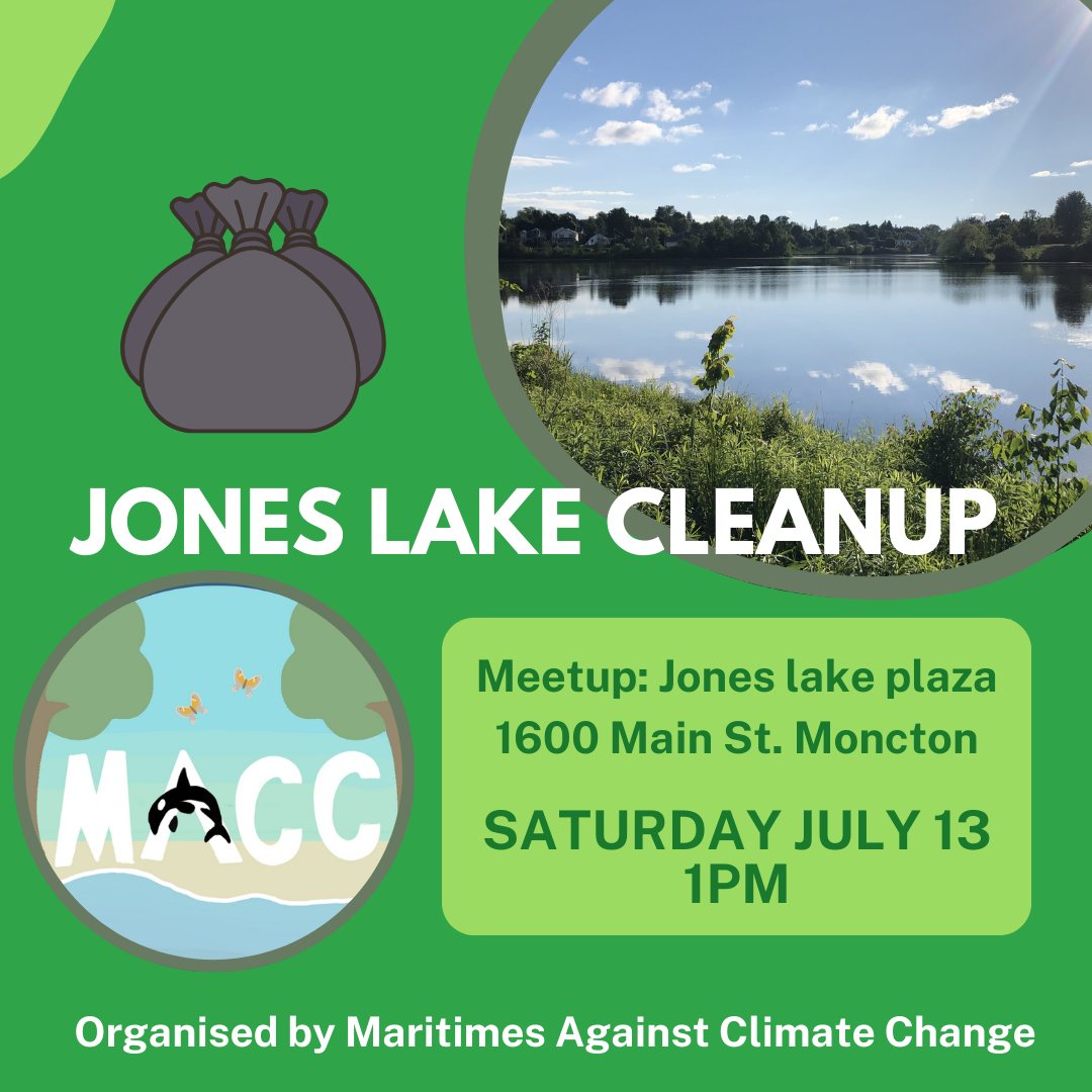 Nettoyage lac Jones